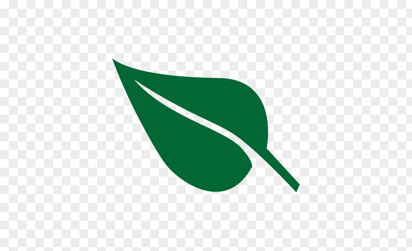 Folha Leaf Vegetable Green Clip Art PNG