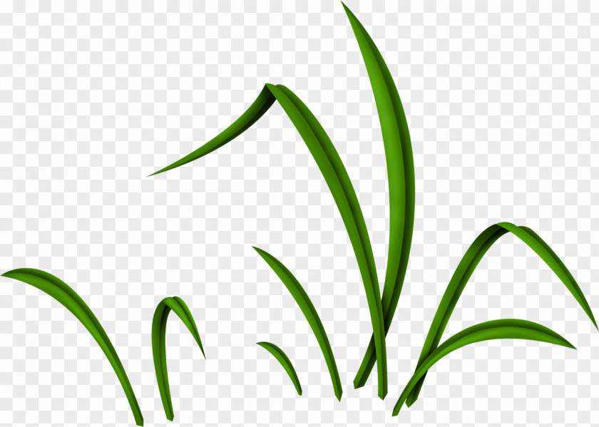 Green Leaves Easter Bunny Plant Stem Flower Clip Art PNG