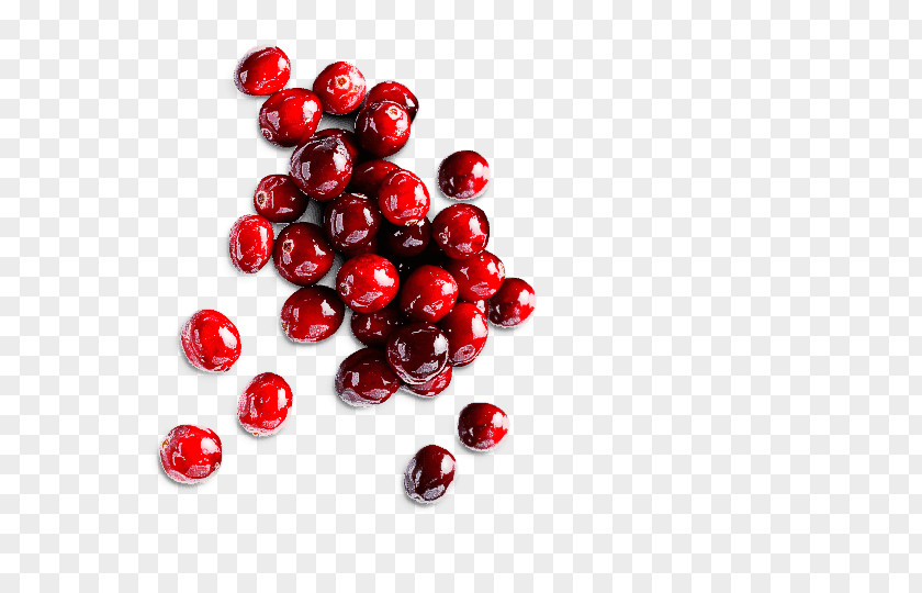 Red Fruit Berry Cranberry Lingonberry PNG