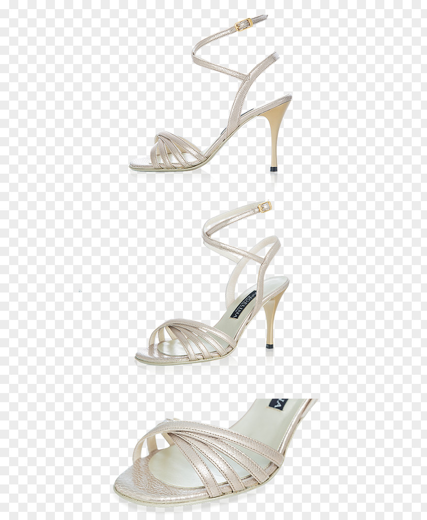 Sandal Shoe PNG