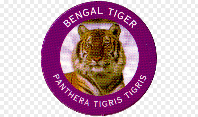 Tiger Whiskers Big Cat Burn PNG