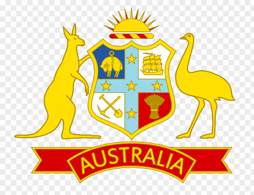 Australia National Cricket Team Football Logo Rugby Union PNG