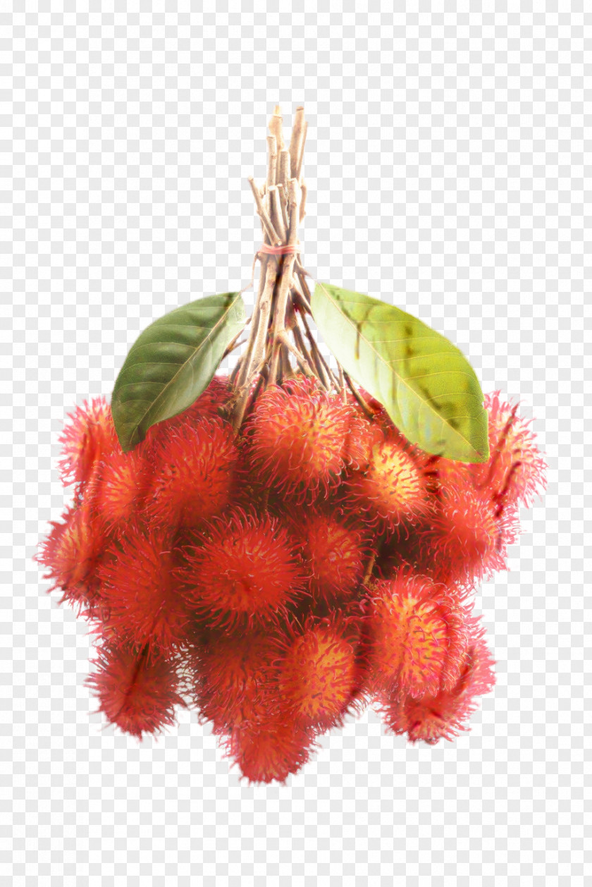 Berry Lychee Family Tree Background PNG