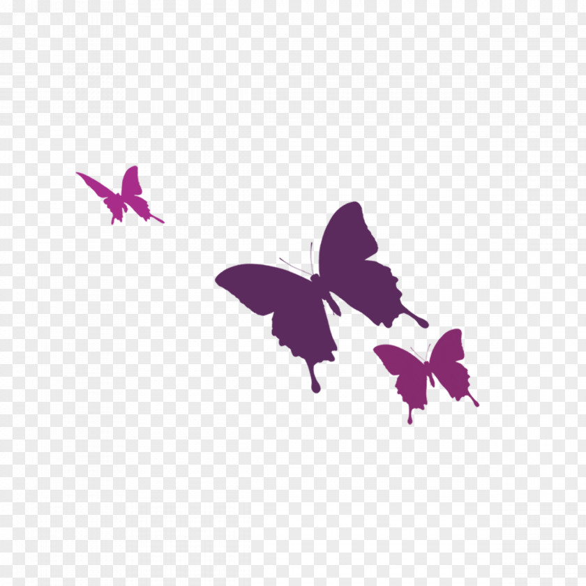 Butterfly Color PNG