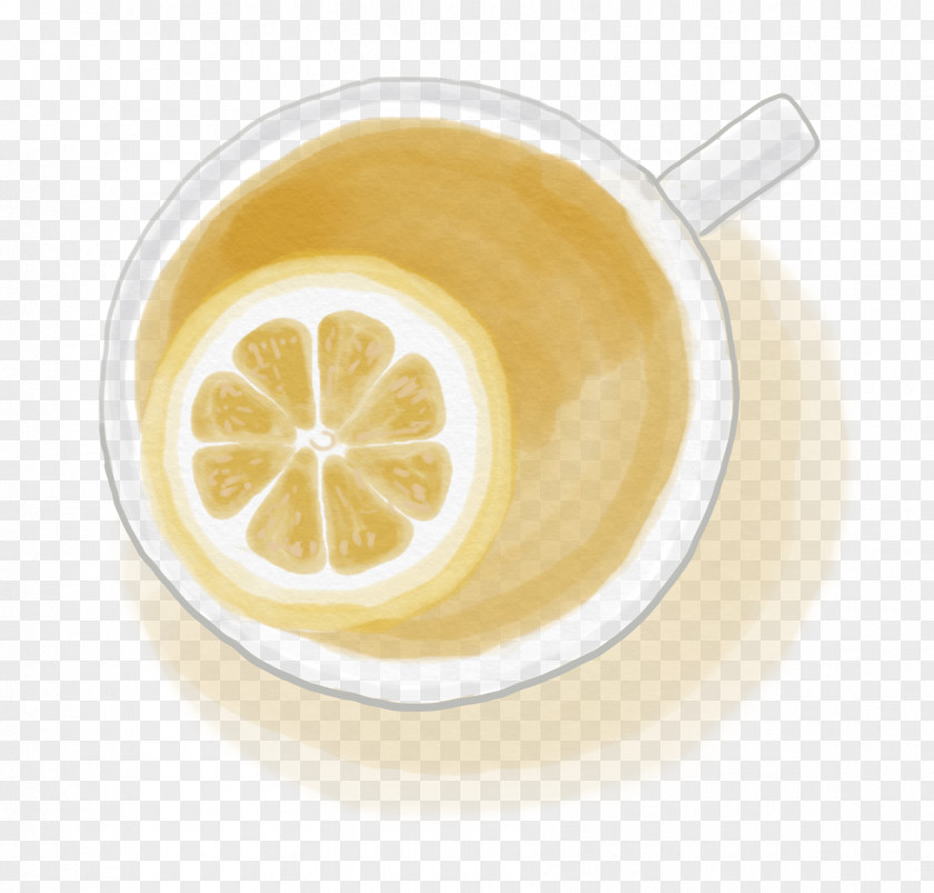 Kakadu Plum Vitamin C Coffee Cup Citric Acid Tea Lemon PNG