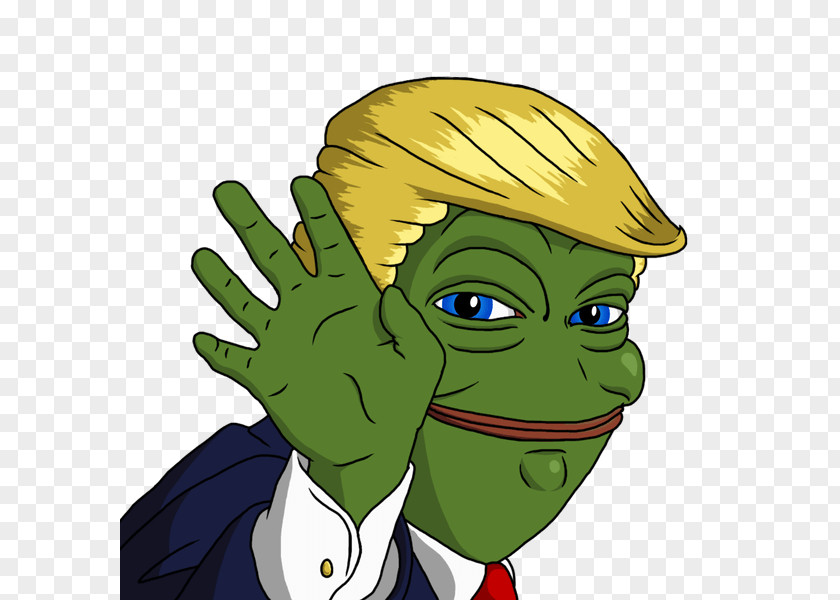 United States Pepe The Frog Independent Politician Meme PNG the politician Meme, united states clipart PNG