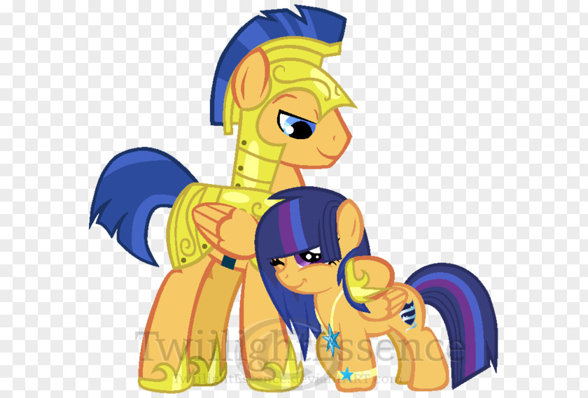 Color Little Prince Twilight Sparkle Pony Princess Cadance Flash Sentry Equestria PNG