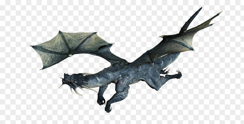 Dragon Chinese Wing Wyvern China PNG