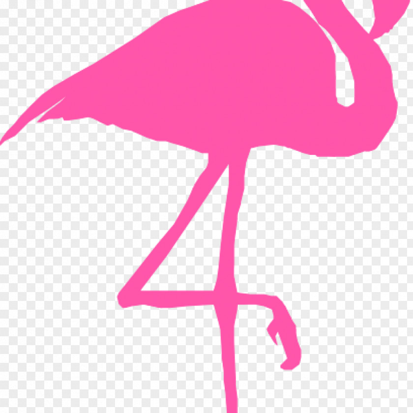 Flamingo Clip Art Vector Graphics Silhouette Image PNG