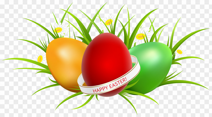 Fruit Tomato Easter Egg Background PNG