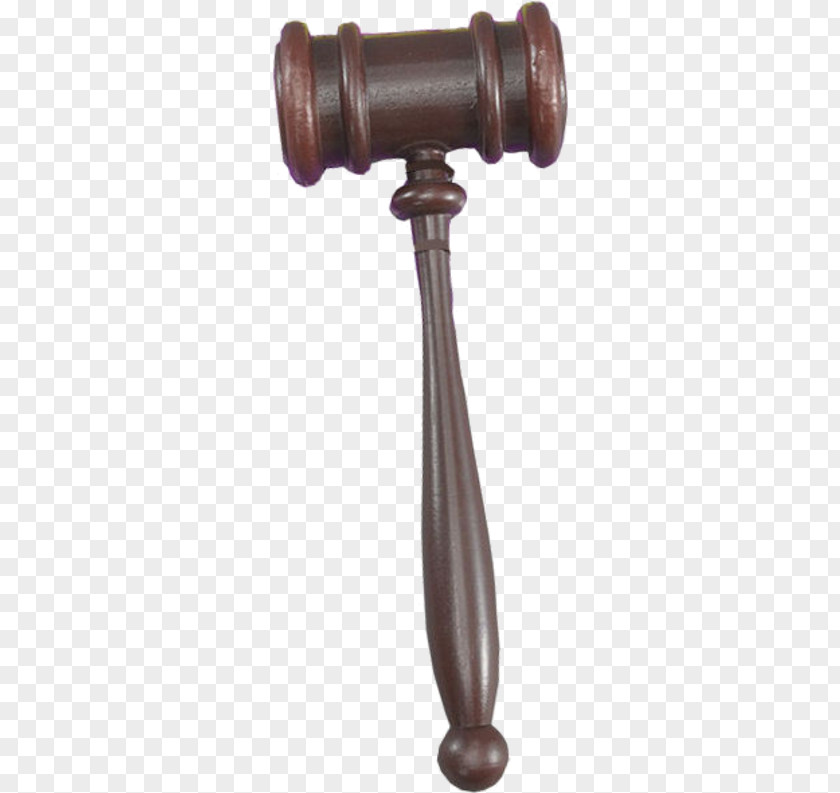 Judge Gavel Law Court .se PNG