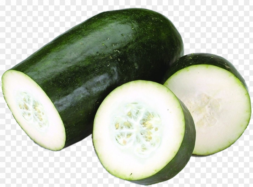 Melon Wax Gourd Vegetable Food Seed PNG