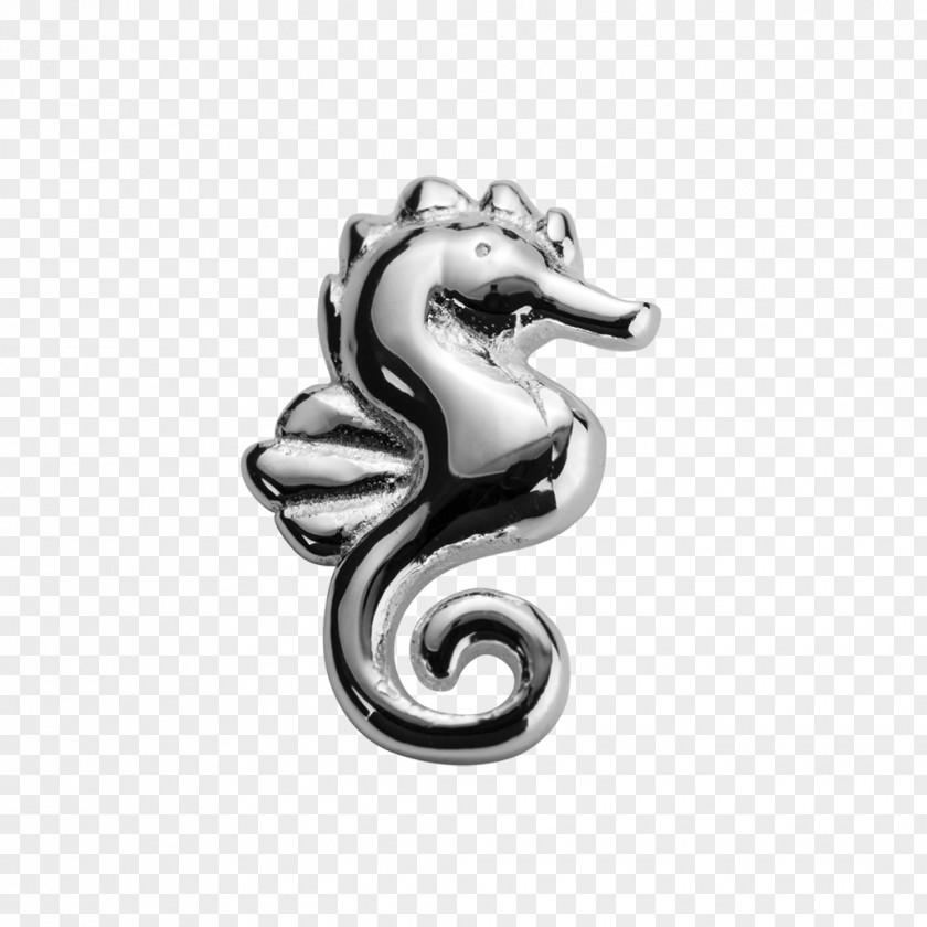 Seahorse Jewellery Silver Charm Bracelet Locket Earring PNG