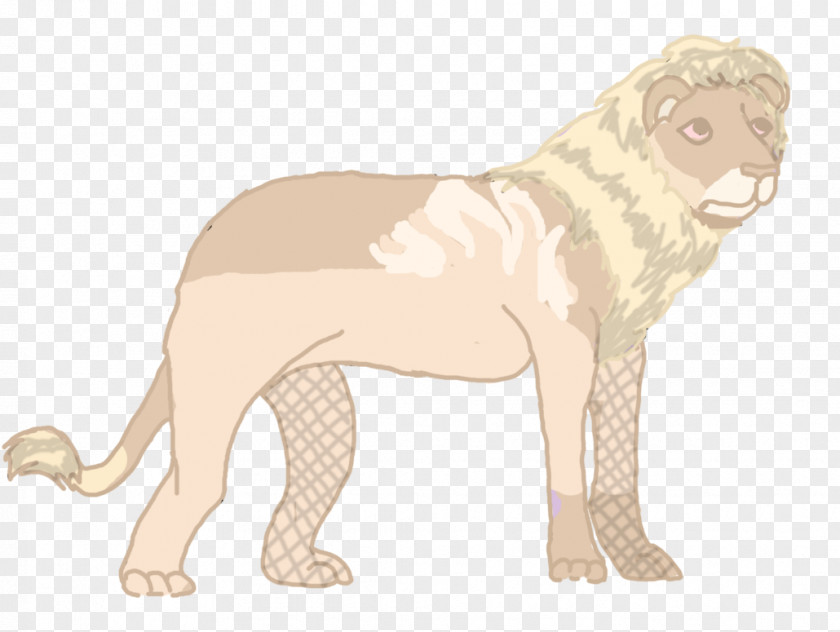 Cat Dog Breed Tiger Lion PNG