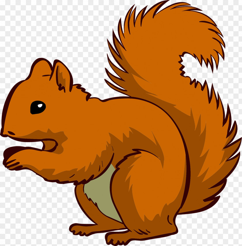 Happy Squirrel Chipmunk Clip Art PNG