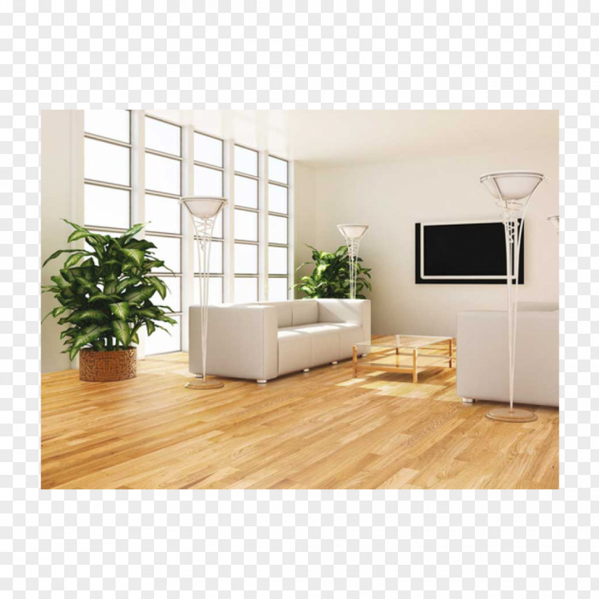 Interior Design Plant Feng Shui Living Room Drawing Tree PNG