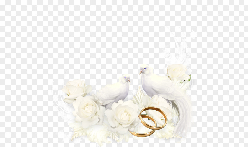 Pigeon Dangling Ring Wedding Convite Marriage Drawing Image PNG