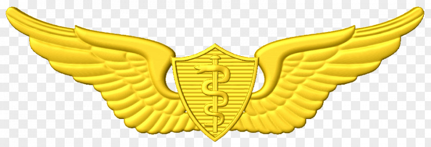 Army Emblem Wing 0506147919 United States Aviator Badge Astronaut PNG