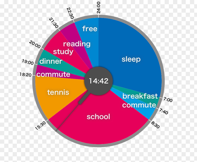 Circle Pie Chart Graph 24-hour Clock PNG