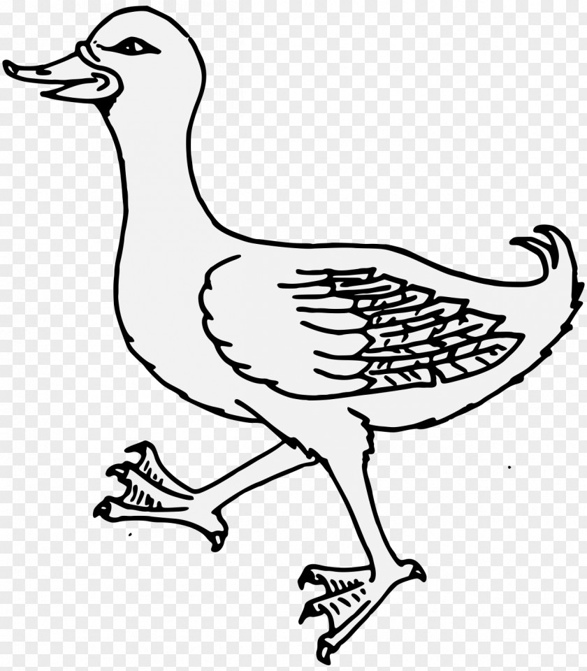 Duck Clip Art Goose PNG
