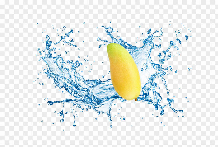 Dynamic Splash Spray Droplets Mango Fruit Water Clip Art PNG