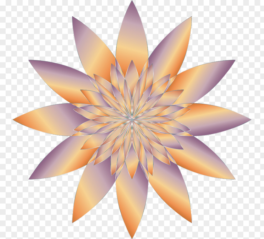 Fractal Geometry Desktop Wallpaper Petal Flower Clip Art PNG