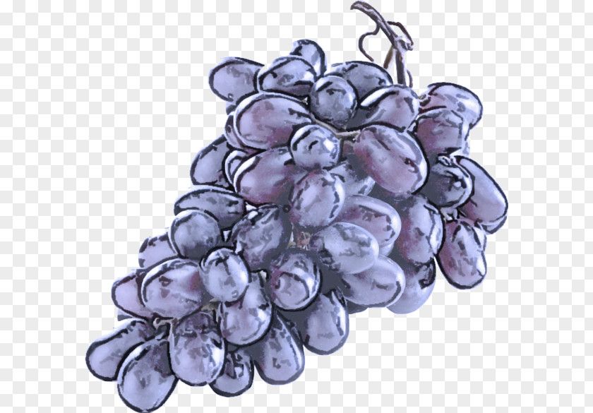 Grape Grapevine Family Vitis Fruit Seedless PNG