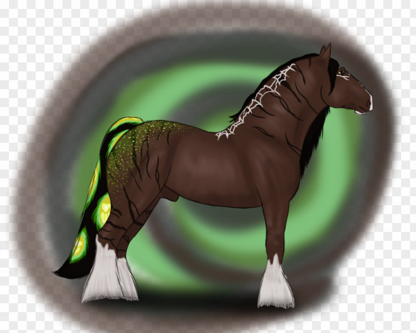 Mustang Pony Stallion Halter Bridle PNG