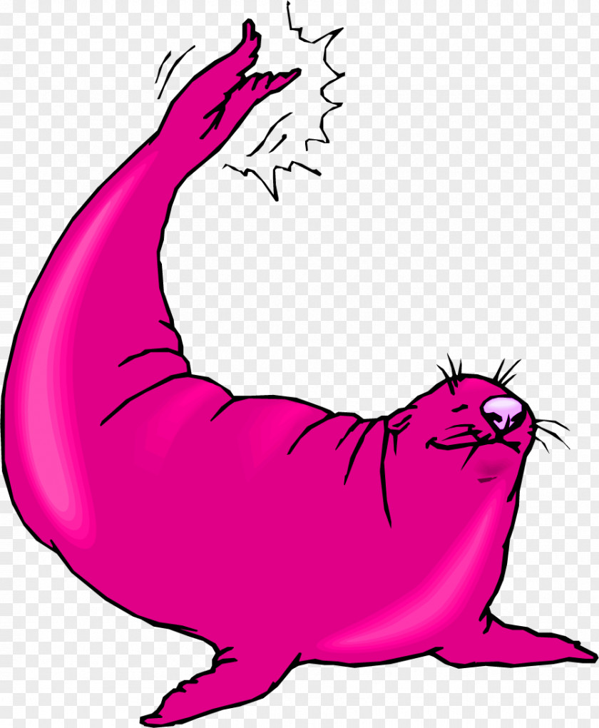 Red Sea Lion Earless Seal Drawing Clip Art PNG
