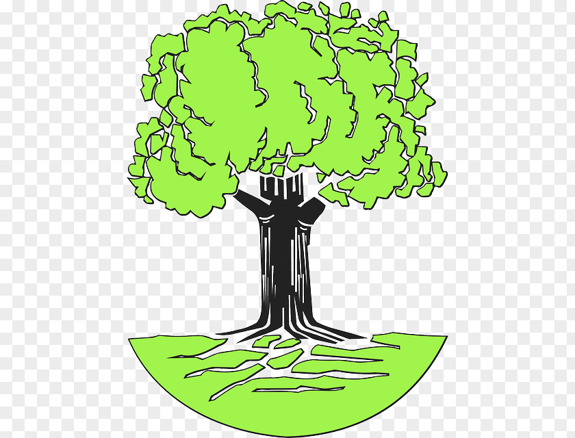 Tree Drawing Root Clip Art PNG