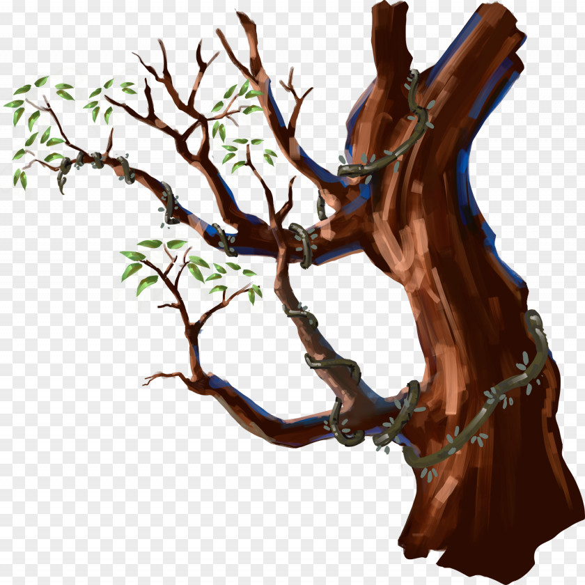 Walnut Tree Clip Art PNG