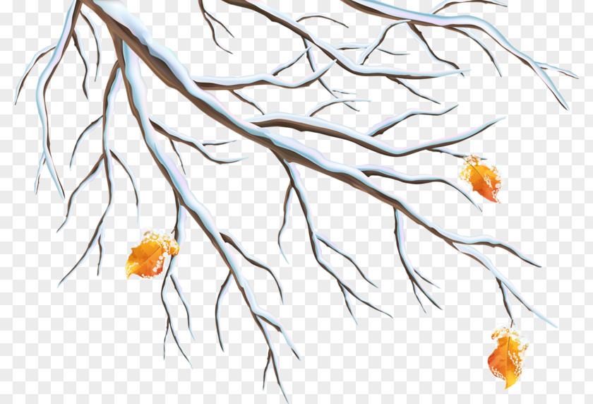 Winter Tree Branches Branch Clip Art PNG