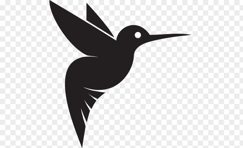 Bird Google Hummingbird Clip Art PNG