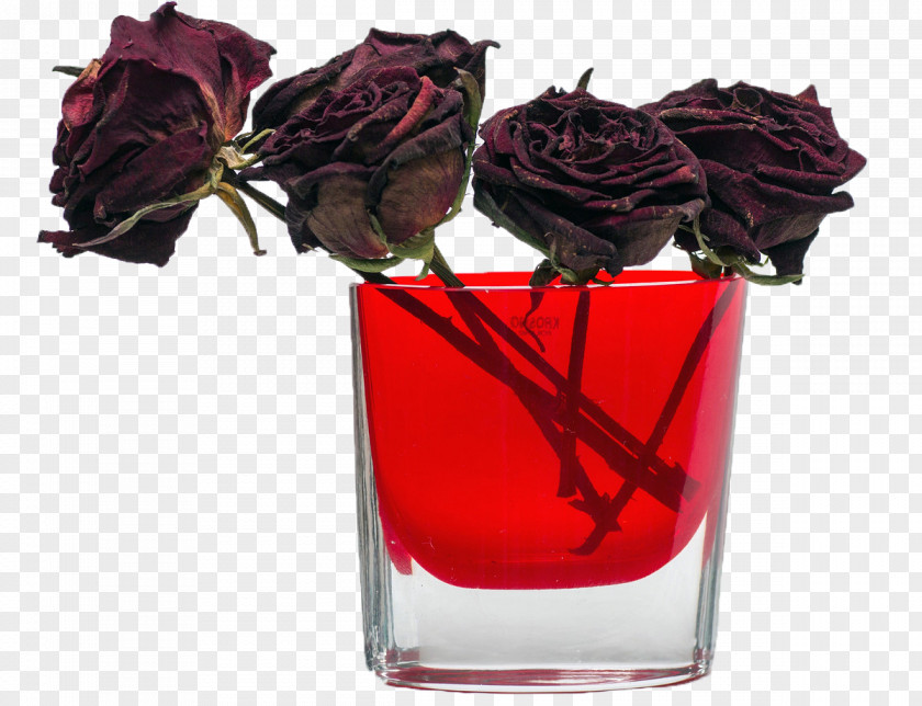 Bloody Rose Dried Flowers Flower Bouquet Petal Stock.xchng PNG