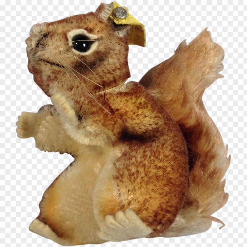 Squirrel Rodent Animal Figurine Organism PNG