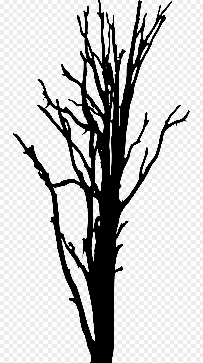 Dead Tree Woody Plant Silhouette Clip Art PNG