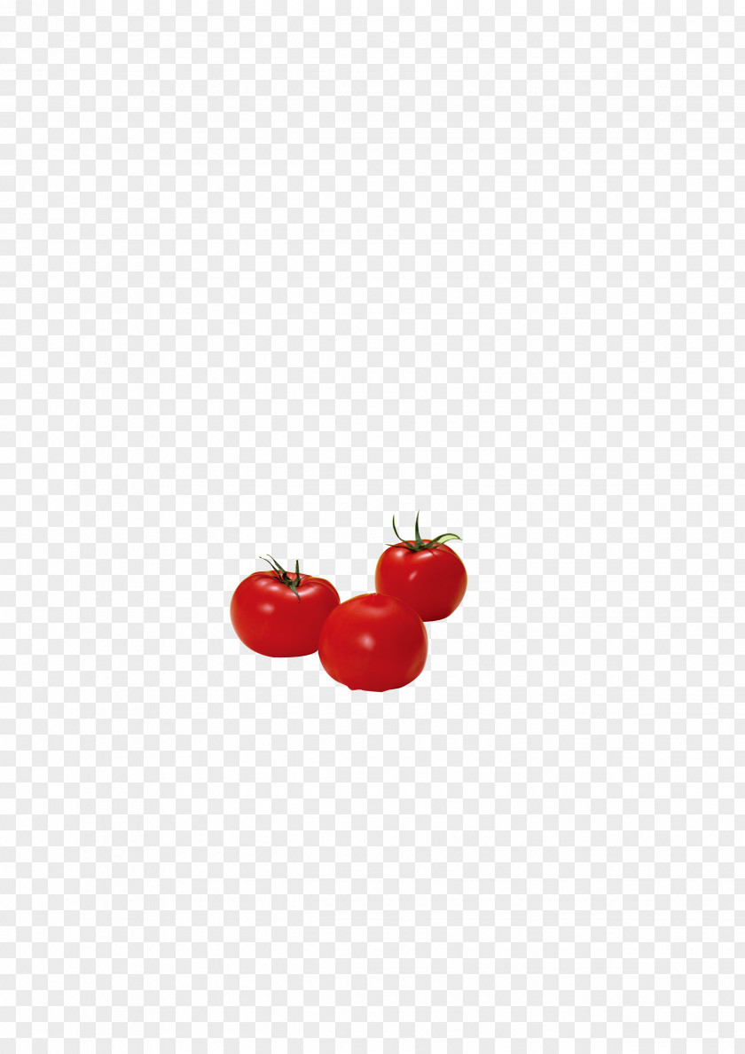 Three Tomatoes Cherry Red Heart Tomato Pattern PNG