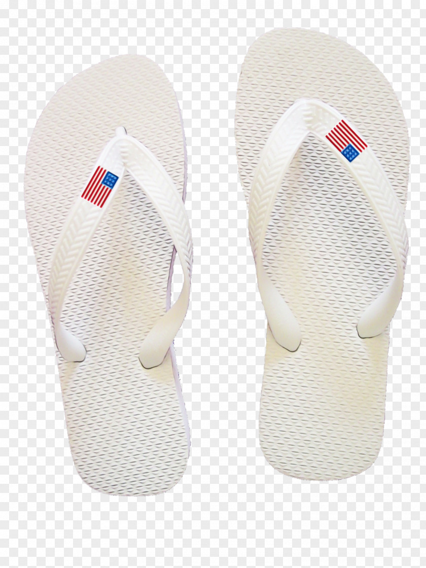 Flip-flops Slipper Shoe Havaianas Rider PNG