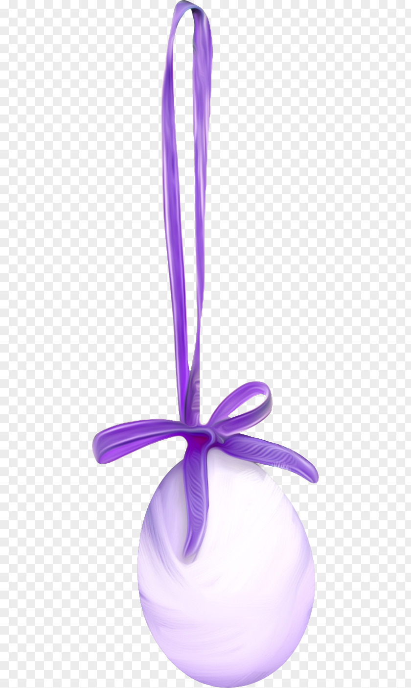 Bow Eggs Fried Egg Chicken Purple PNG