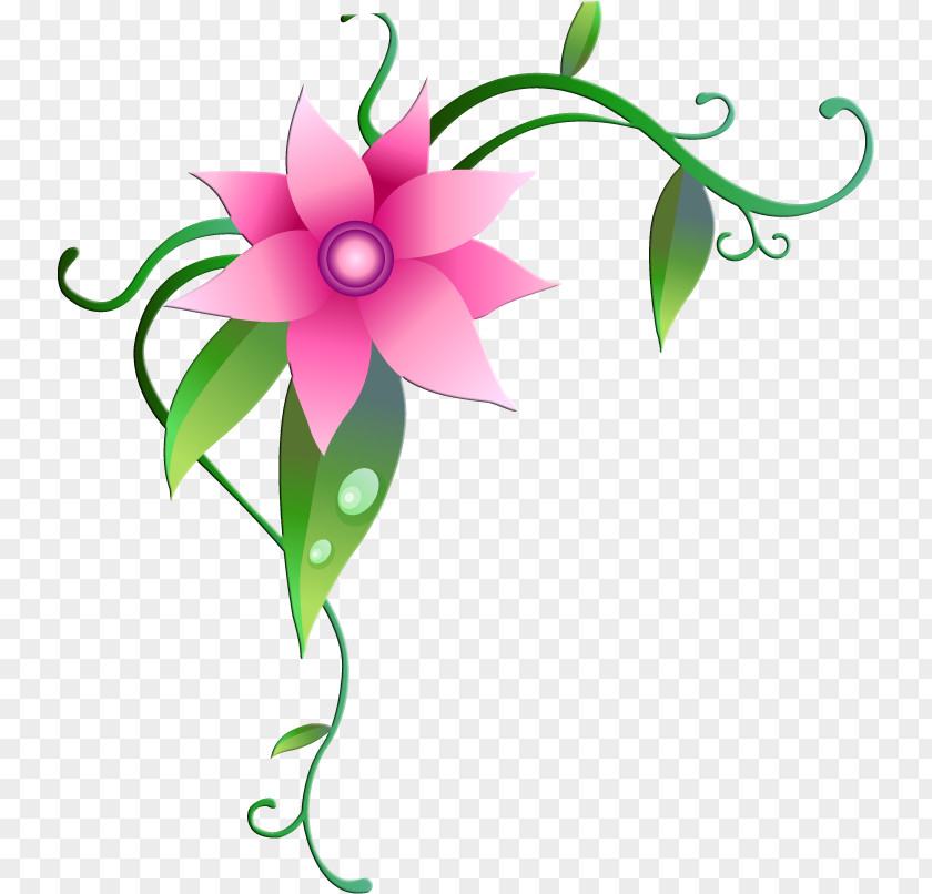 Flower Download PNG