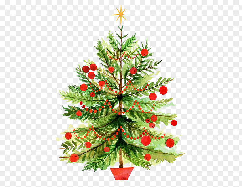 Hand-painted Watercolor Christmas Tree Illustration PNG