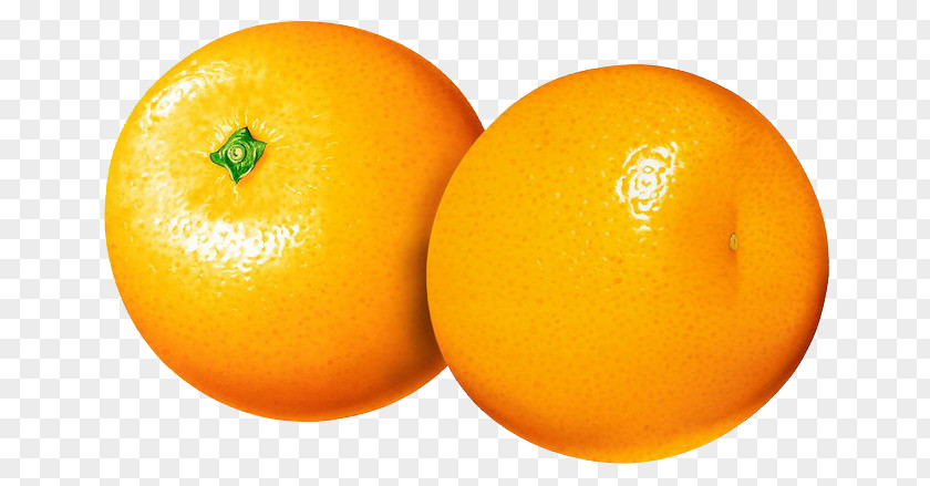 Orange Malta Fruit Mandarin Kinnow PNG