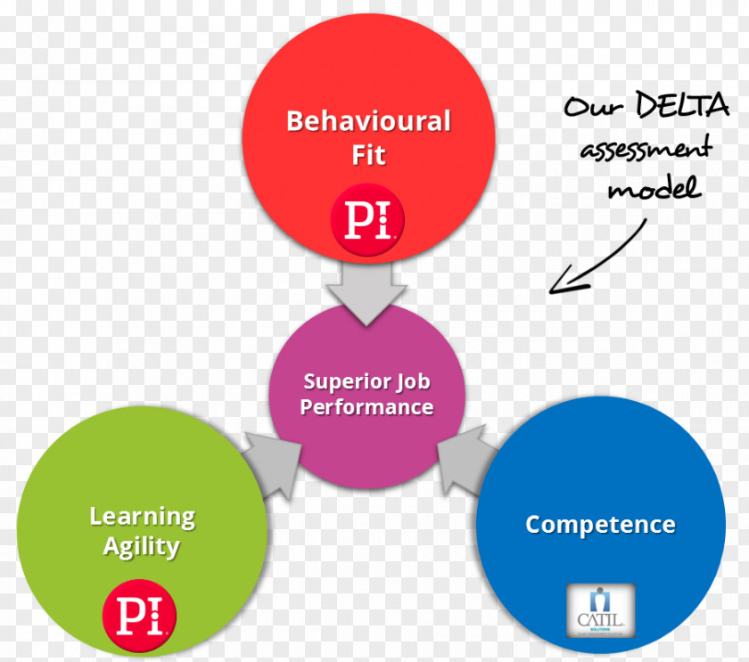 Team Freedom Educational Assessment Talent Management System Test Psychometrics PNG