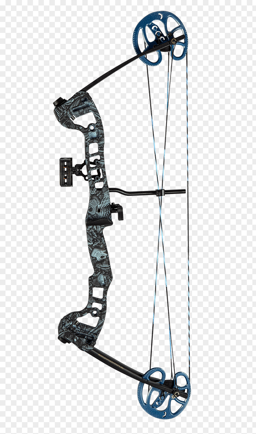 Archery Bow And Arrow Compound Bows Bowfishing PNG
