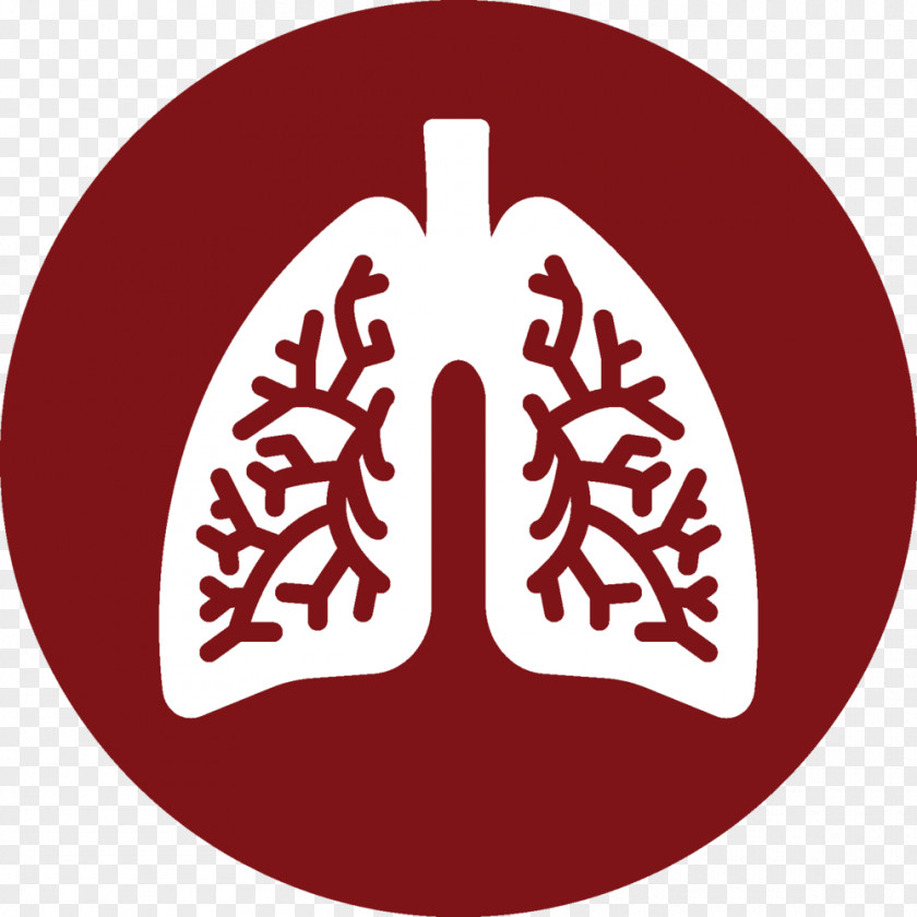 Lung PNG