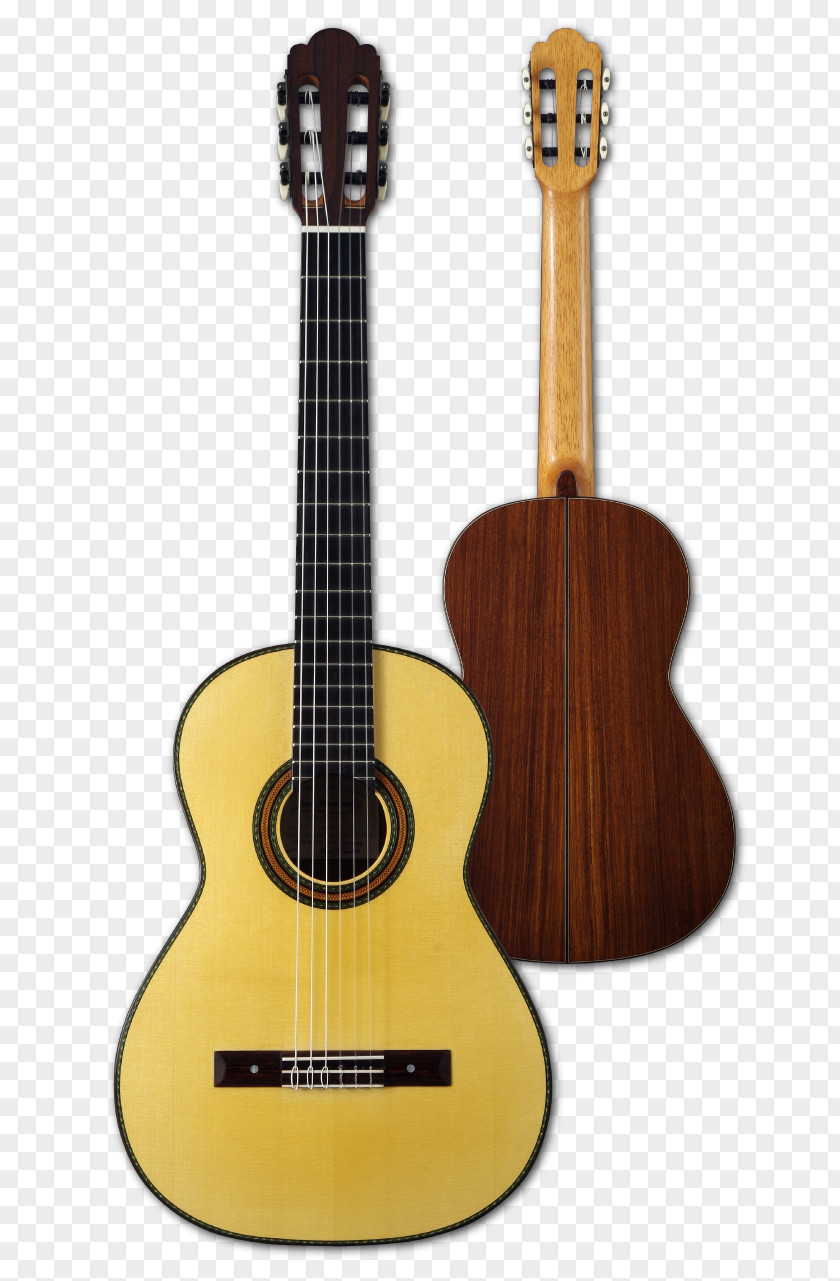 Acoustic Guitar Bass Tiple Cuatro Cavaquinho PNG