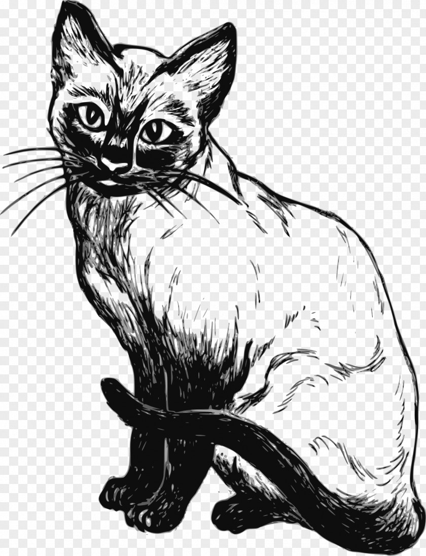 Cat Cliparts Siamese Kitten Black And White Clip Art PNG