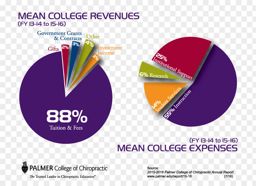 Expenses Revenue Chart Expense College Report PNG
