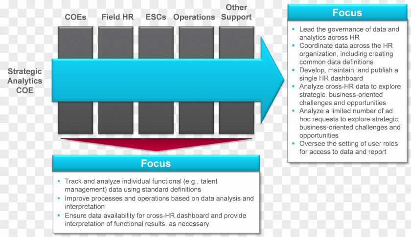 Financial Analysis Analytics Organization Human Resource Data Management PNG