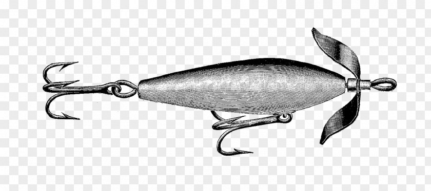 Fishing Baits & Lures Fly Clip Art PNG